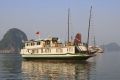 Petit White Dolphin Cruise
