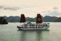 Apricot Premium Cruise
