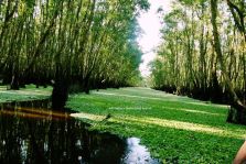 Mekong Delta Discovery 3 Days