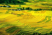 Combo Halong - Sapa 3 Days 2 Night By Bus