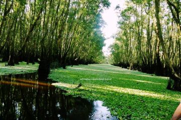 Mekong Delta Discovery 3 Days