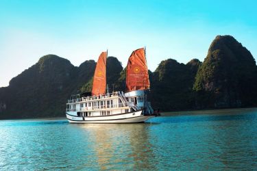 Apricot-Cruise-1