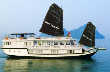 Luxury White Dolphin Cruise