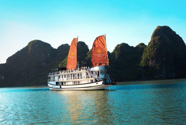 Apricot-Cruise-1