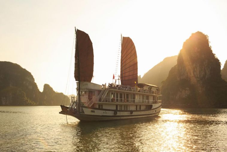 Apricot-Cruise-20