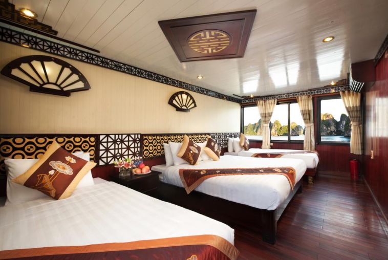 Apricot-Cruise-3