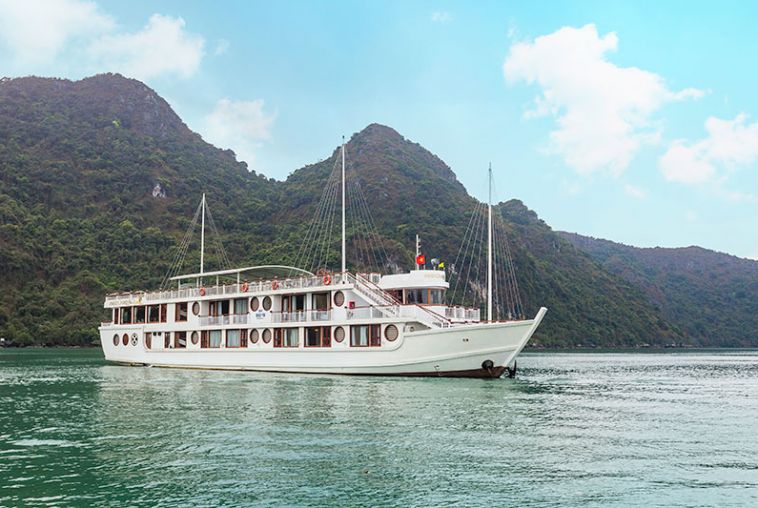 Calypso Cruiser