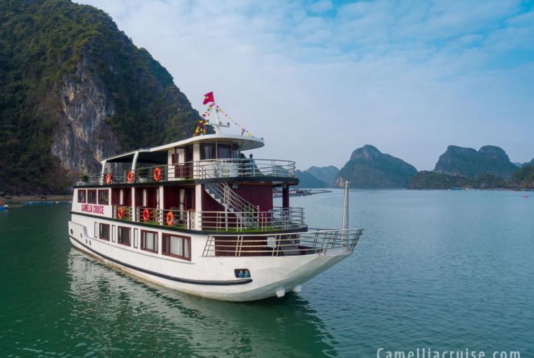 Camellia-cruise-1