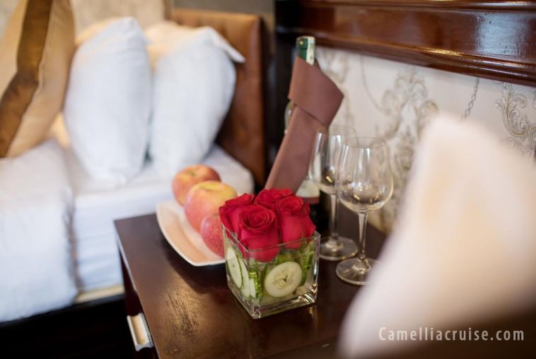 Camellia-cruise-12