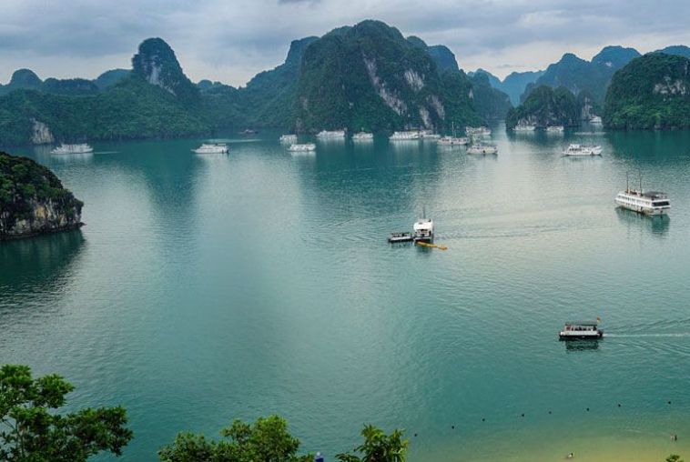 vinhhalong