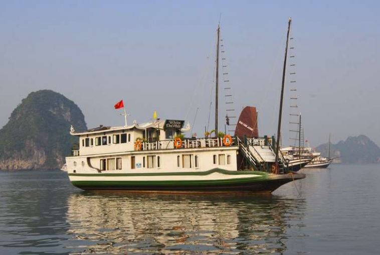 Petit White Dolphin Cruise