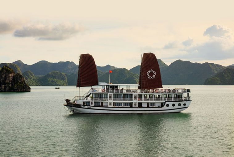 Apricot Premium Cruise